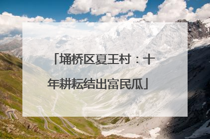 埇桥区夏王村：十年耕耘结出富民瓜