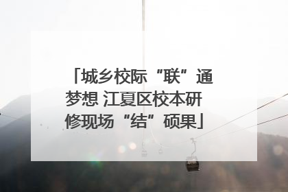 城乡校际“联”通梦想 江夏区校本研修现场“结”硕果