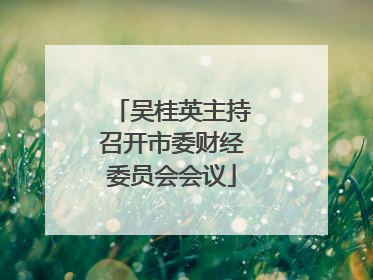 吴桂英主持召开市委财经委员会会议