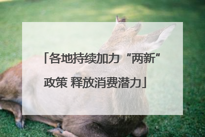 各地持续加力“两新”政策 释放消费潜力