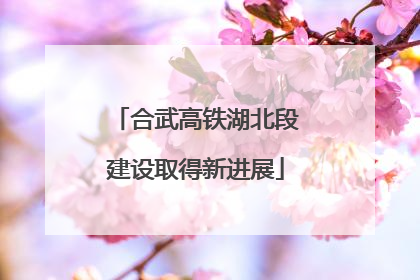 合武高铁湖北段建设取得新进展