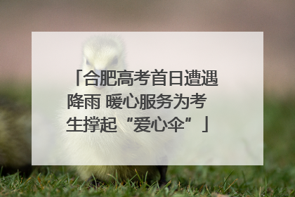合肥高考首日遭遇降雨 暖心服务为考生撑起“爱心伞”