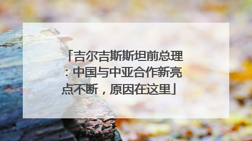 吉尔吉斯斯坦前总理：中国与中亚合作新亮点不断，原因在这里