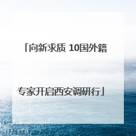 向新求质 10国外籍专家开启西安调研行