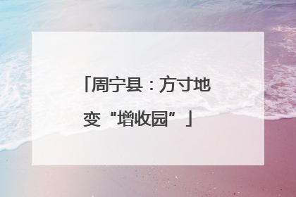 周宁县：方寸地变“增收园”