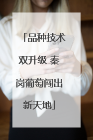 品种技术双升级 秦岗葡萄闯出新天地