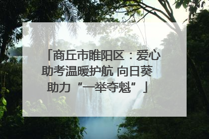 商丘市睢阳区：爱心助考温暖护航 向日葵助力“一举夺魁”