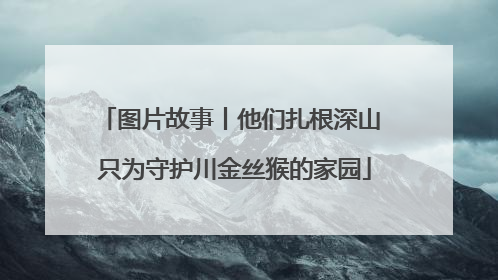 图片故事丨他们扎根深山 只为守护川金丝猴的家园