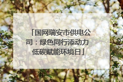国网瑞安市供电公司：绿色同行添动力 低碳赋能环境日