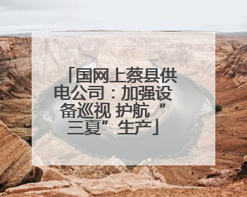 国网上蔡县供电公司：加强设备巡视 护航“三夏”生产