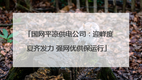 国网平凉供电公司：迎峰度夏齐发力 强网优供保运行