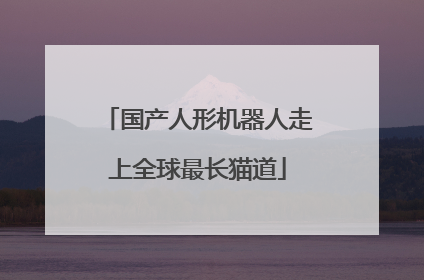 国产人形机器人走上全球最长猫道