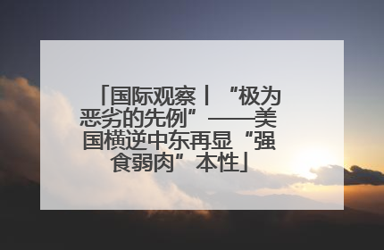 国际观察丨“极为恶劣的先例”——美国横逆中东再显“强食弱肉”本性