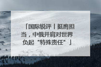 国际锐评丨挺膺担当，中俄并肩对世界负起“特殊责任”