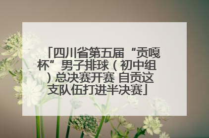 四川省第五届“贡嘎杯”男子排球（初中组）总决赛开赛 自贡这支队伍打进半决赛