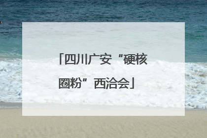 四川广安“硬核圈粉”西洽会