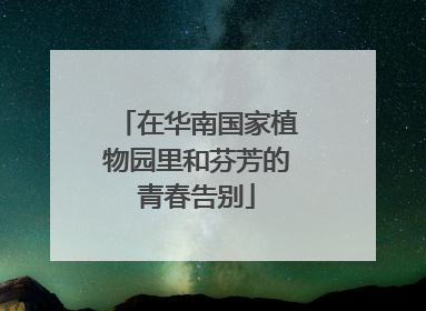 在华南国家植物园里和芬芳的青春告别