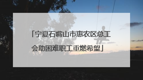 宁夏石嘴山市惠农区总工会助困难职工重燃希望