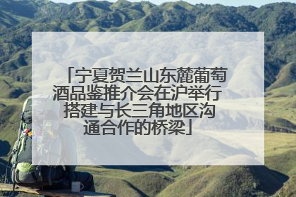 宁夏贺兰山东麓葡萄酒品鉴推介会在沪举行 搭建与长三角地区沟通合作的桥梁