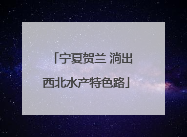 宁夏贺兰 淌出西北水产特色路