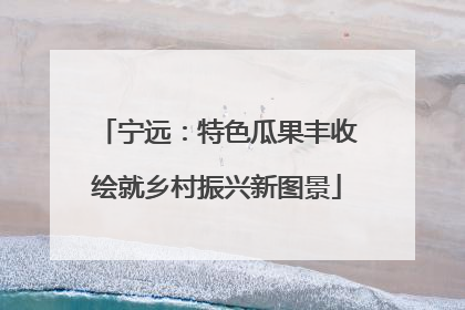 宁远：特色瓜果丰收绘就乡村振兴新图景