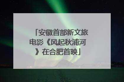 安徽首部新文旅电影《风起秋浦河》在合肥首映
