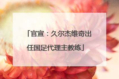 官宣：久尔杰维奇出任国足代理主教练