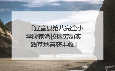 宜章县第八完全小学廖家湾校区劳动实践基地喜获丰收