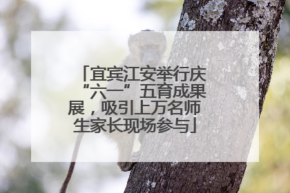 宜宾江安举行庆“六一”五育成果展，吸引上万名师生家长现场参与