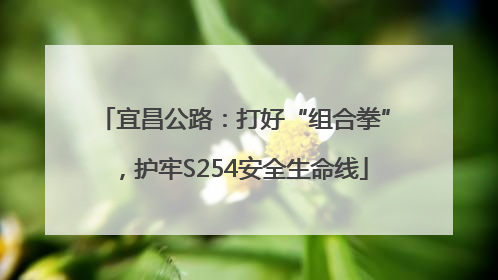 宜昌公路：打好“组合拳”，护牢S254安全生命线