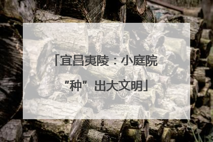 宜昌夷陵：小庭院“种”出大文明