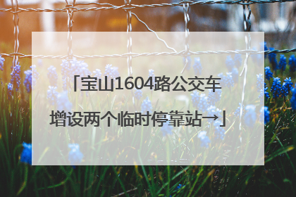 宝山1604路公交车增设两个临时停靠站→