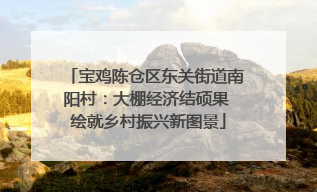 宝鸡陈仓区东关街道南阳村：大棚经济结硕果 绘就乡村振兴新图景
