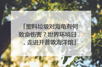 塑料垃圾对海龟有何致命伤害？世界环境日，走进开普敦海洋馆
