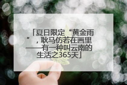 夏日限定“黄金雨”，耿马仿若在画里——有一种叫云南的生活之365天