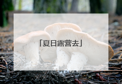 夏日露营去