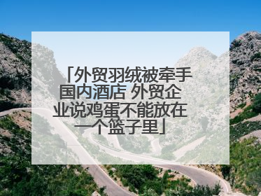 外贸羽绒被牵手国内酒店 外贸企业说鸡蛋不能放在一个篮子里