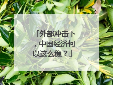 外部冲击下，中国经济何以这么稳？