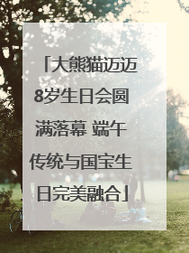 大熊猫迈迈8岁生日会圆满落幕 端午传统与国宝生日完美融合