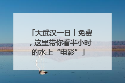 大武汉一日︱免费，这里带你看半小时的水上“电影”