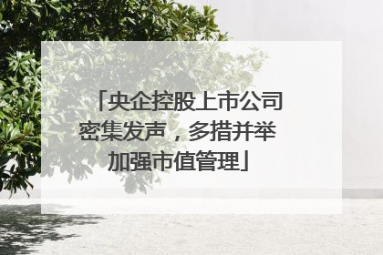 央企控股上市公司密集发声，多措并举加强市值管理