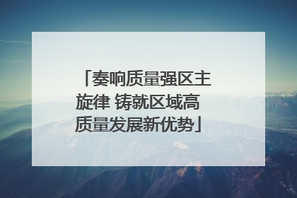 奏响质量强区主旋律 铸就区域高质量发展新优势
