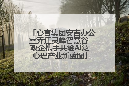 心言集团安吉办公室乔迁灵峰智慧谷 政企携手共绘AI泛心理产业新蓝图