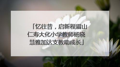 忆往昔，启新程眉山仁寿大化小学教师杨晓慧雅加达支教助成长
