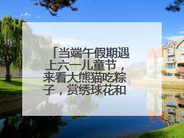 当端午假期遇上六一儿童节，来看大熊猫吃粽子，赏绣球花和马鞭草花海
