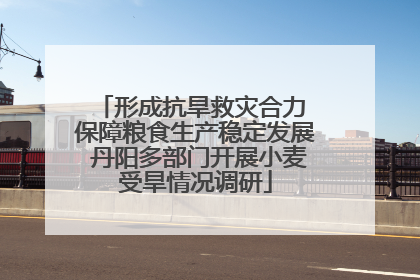 形成抗旱救灾合力 保障粮食生产稳定发展 丹阳多部门开展小麦受旱情况调研