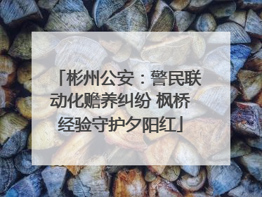 彬州公安：警民联动化赡养纠纷 枫桥经验守护夕阳红