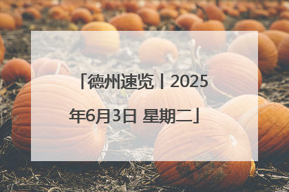 德州速览丨2025年6月3日 星期二