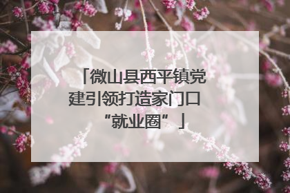 微山县西平镇党建引领打造家门口“就业圈”