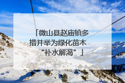 微山县赵庙镇多措并举为绿化苗木“补水解渴”